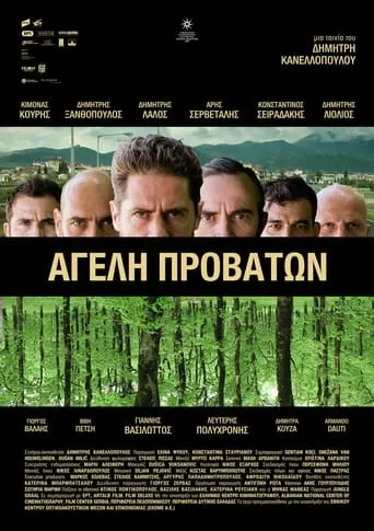 Pack of Sheep movie poster - Rated 3.8/10