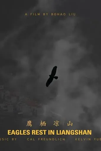 Eagles Rest in Liangshan movie poster - Entertainment content