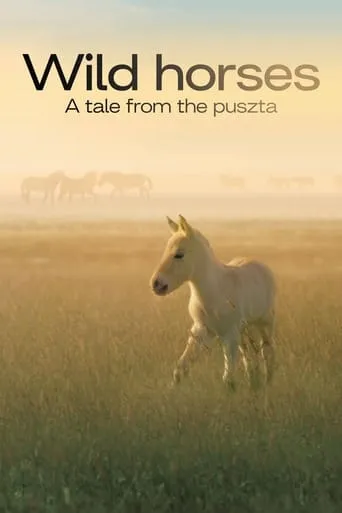 Wild Horses - A Tale From The Puszta movie poster - Rated 10/10