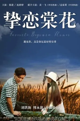 挚恋棠花 movie poster - Entertainment content