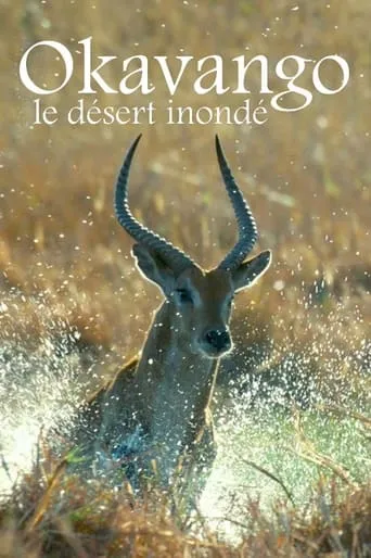 Kalahari: The Flooded Desert movie poster - Rated 10/10