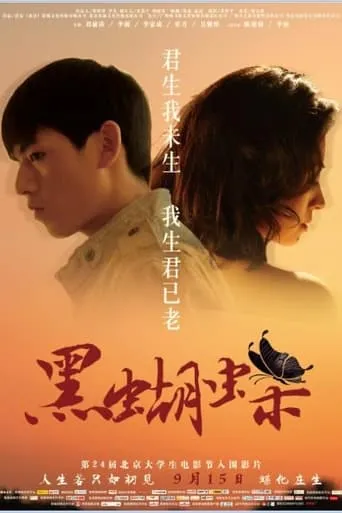 For The Memoy Never Forgotten movie poster - Entertainment content