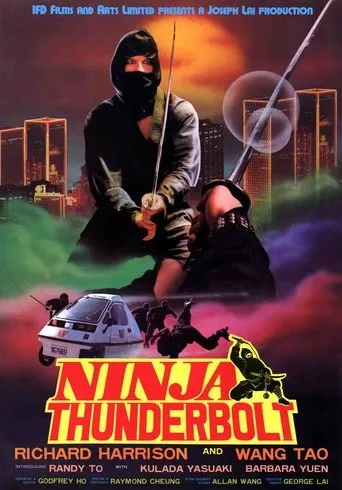 Ninja Thunderbolt movie poster - Rated 6.6/10