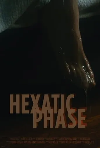 Hexatic Phase movie poster - Entertainment content