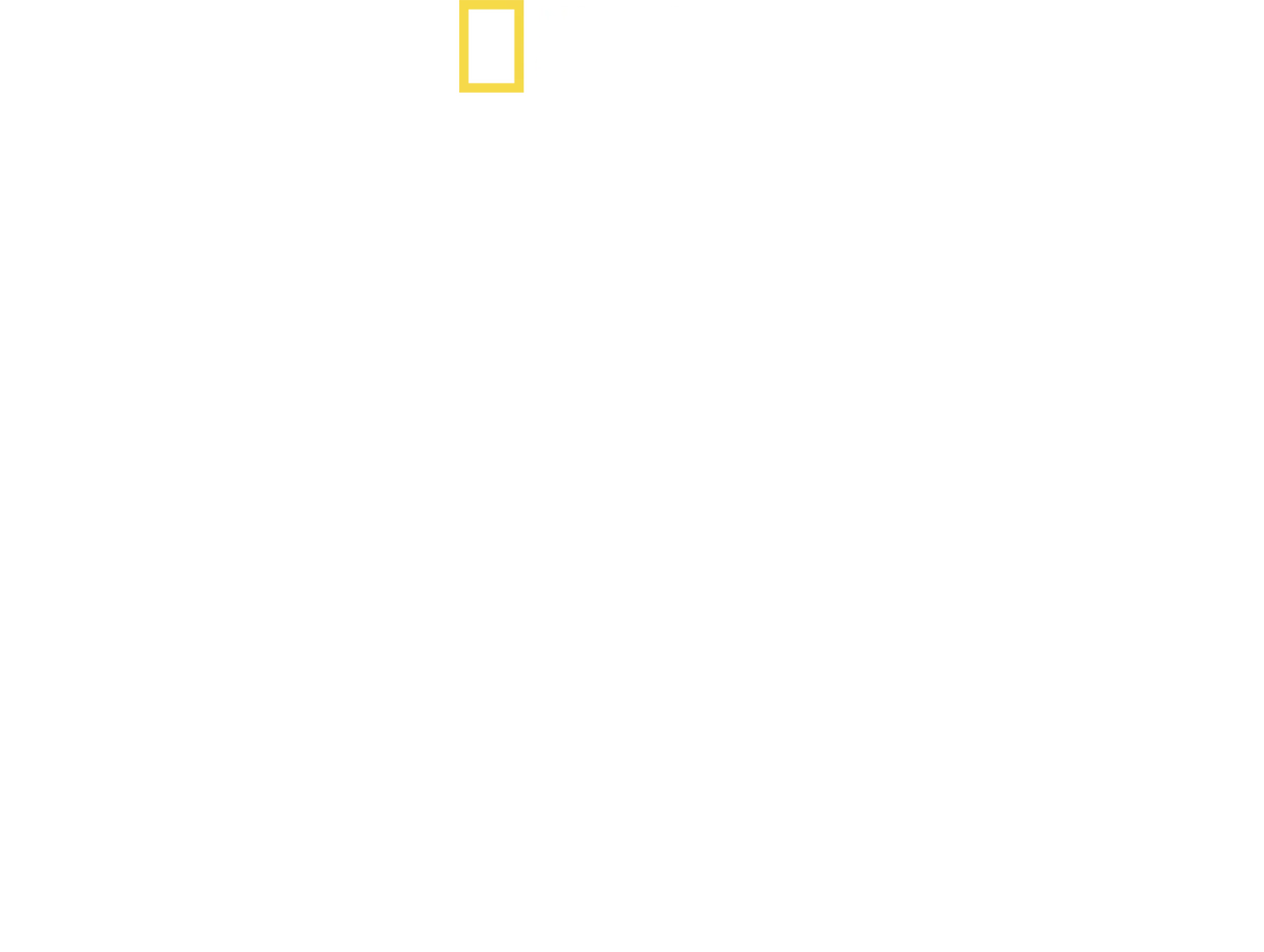 Inside North Korea: Then and Now with Lisa Ling