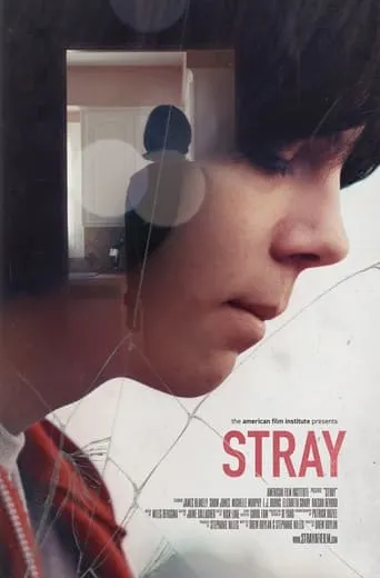 Stray movie poster - Entertainment content