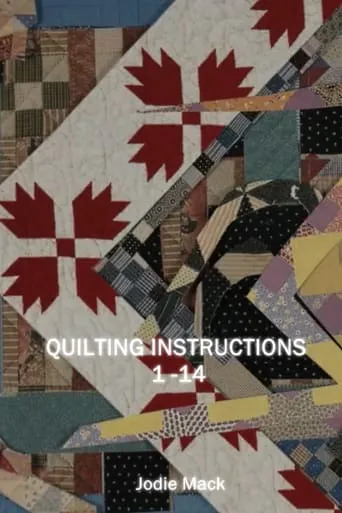 Quilting Instructions 1-14 movie poster - Entertainment content