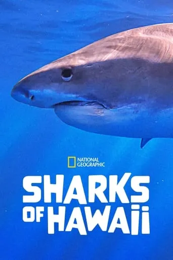 Sharks of Hawaii movie poster - Entertainment content