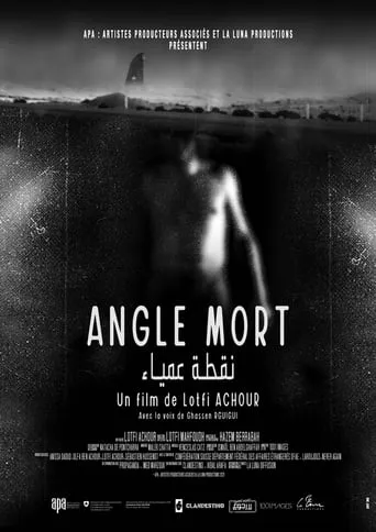 Blind Spot movie poster - Rated 8/10