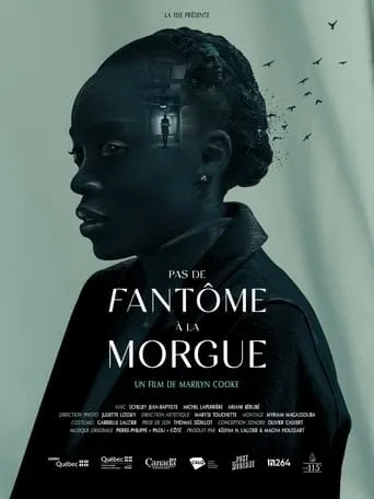 No Ghost in the Morgue movie poster - Entertainment content