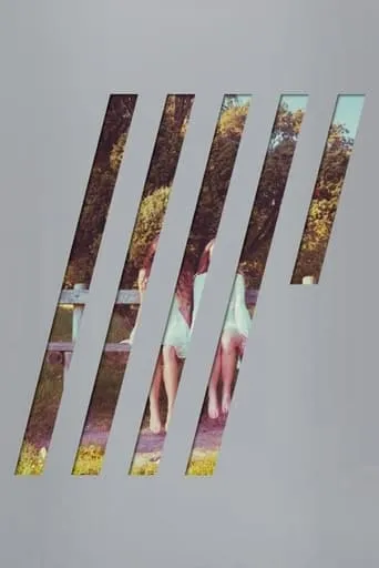 Steven Wilson: 4 ½ movie poster - Entertainment content