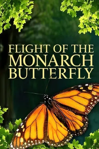 Flight of the Monarch Butterfly movie poster - Entertainment content