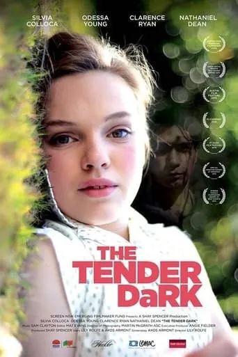 The Tender Dark movie poster - Rated 1/10