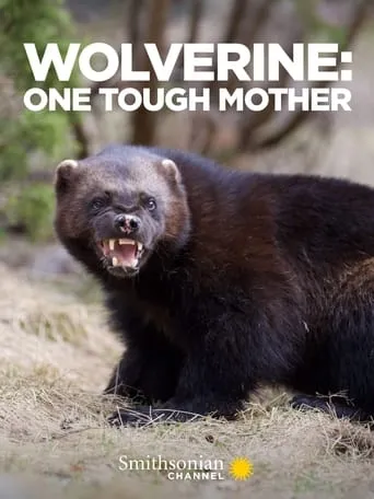 Wolverine: One Tough Mother movie poster - Entertainment content
