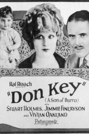 Don Key (Son of Burro) movie poster - Rated 6/10