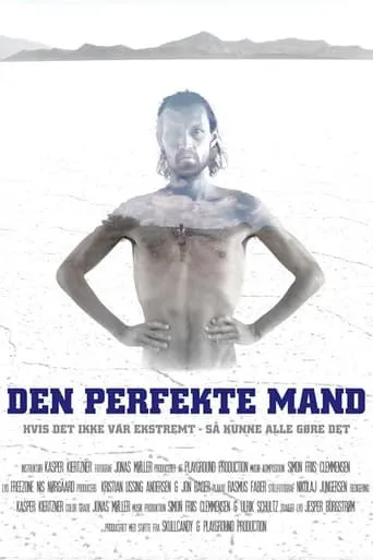 Den Perfekte Mand movie poster - Entertainment content