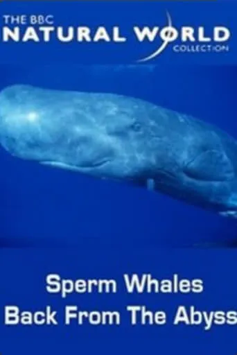 Sperm Whales: Back from the Abyss movie poster - Entertainment content