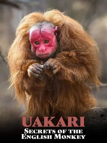 Uakari: Secrets of the English Monkey movie poster - Entertainment content