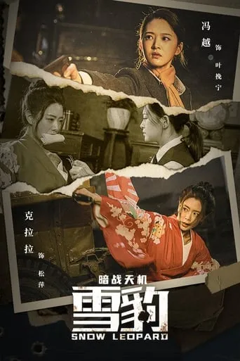 Snow Leopard Secret War movie poster - Rated 10/10