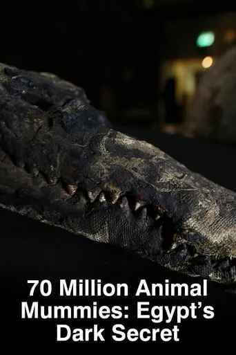 70 Million Animal Mummies: Egypt's Dark Secret movie poster - Entertainment content
