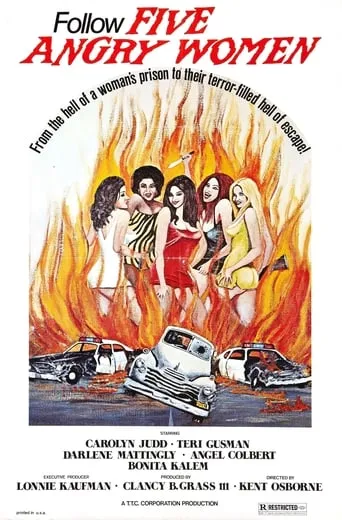 Women Unchained movie poster - Rated 4.2/10