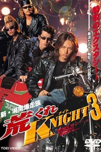 Rough KNIGHT 3 movie poster - Entertainment content