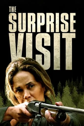 The Surprise Visit movie poster - Rated 4.5/10