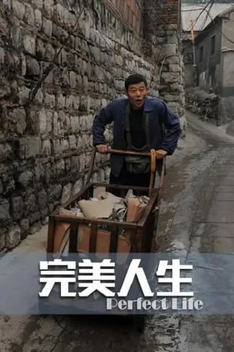完美人生 movie poster - Entertainment content