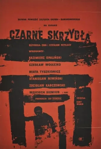 Czarne skrzydła movie poster - Rated 4/10