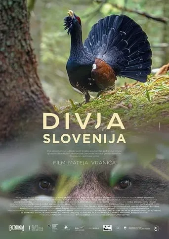 Wild Slovenia movie poster - Rated 9.2/10