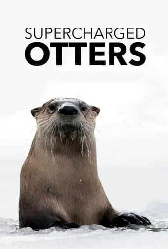 Supercharged Otters movie poster - Entertainment content