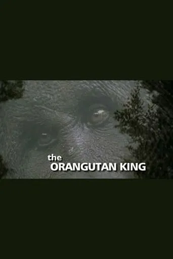 The Orangutan King movie poster - Rated 10/10