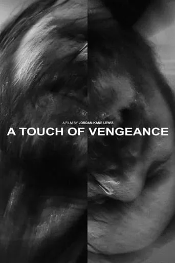 A Touch of Vengeance movie poster - Rated 10/10