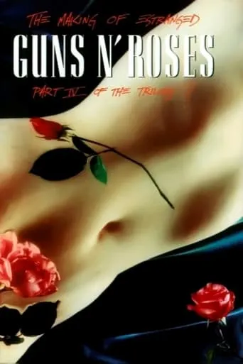 Guns N' Roses: Makin' F@*!ing Videos Part IV Estranged movie poster - Rated 10/10