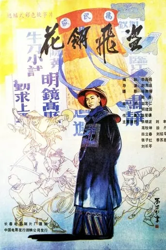 花翎飞盗 movie poster - Entertainment content