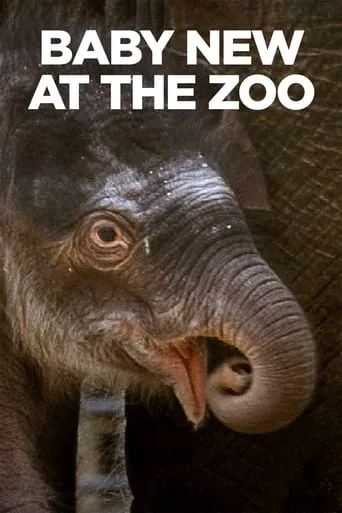 Baby New at the Zoo movie poster - Rated 6/10