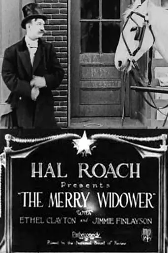 Merry Widower movie poster - Rated 6/10