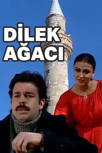Dilek Ağacı movie poster - Rated 8/10