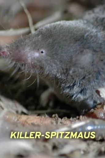 Killer Shrew movie poster - Entertainment content