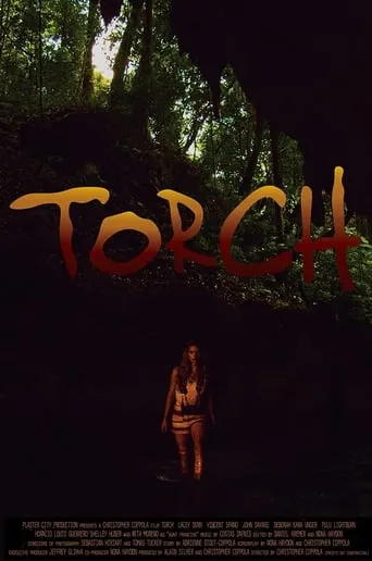 Torch movie poster - Rated 5/10