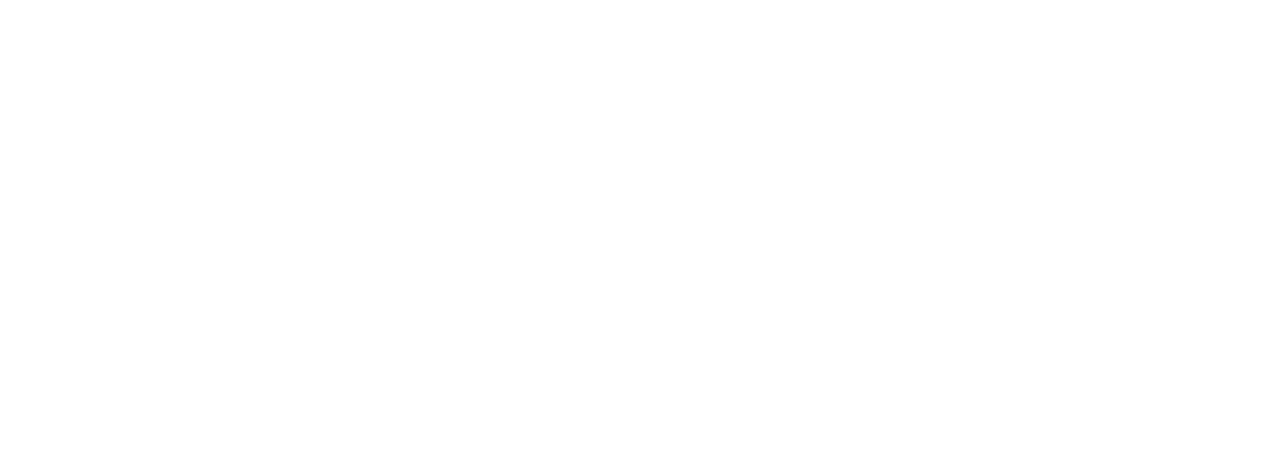 Troubled Waters: A Turtle's Tale