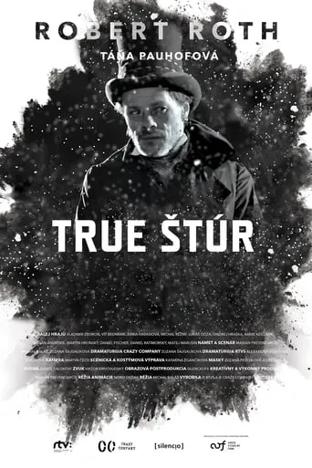 True Štúr movie poster - Entertainment content