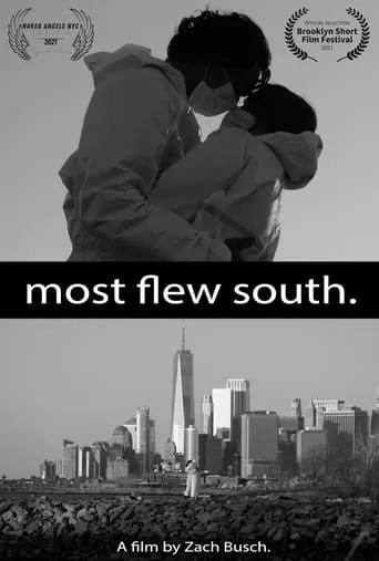 Most Flew South movie poster - Rated 10/10