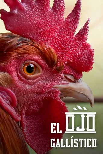 Through the Gaze of the Cockfighter movie poster - Rated 7/10