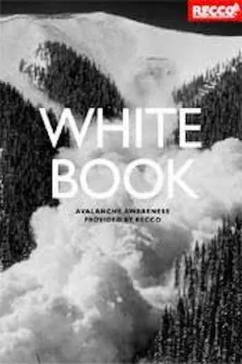 Whitebook movie poster - Entertainment content