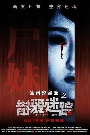 错爱迷踪 movie poster - Entertainment content