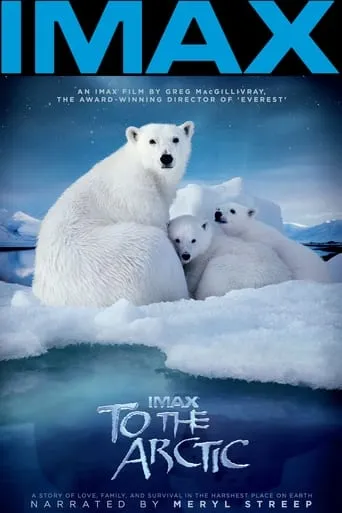To the Arctic 3D movie poster - Rated 6.5/10