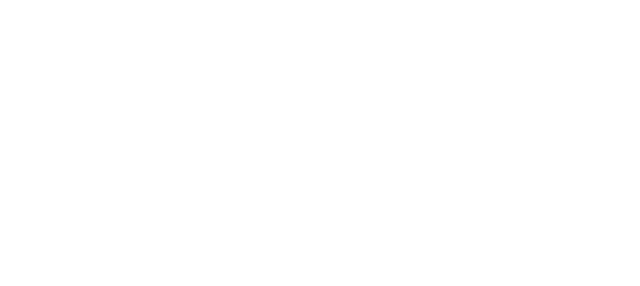 My Best Friend's Wedding Planner