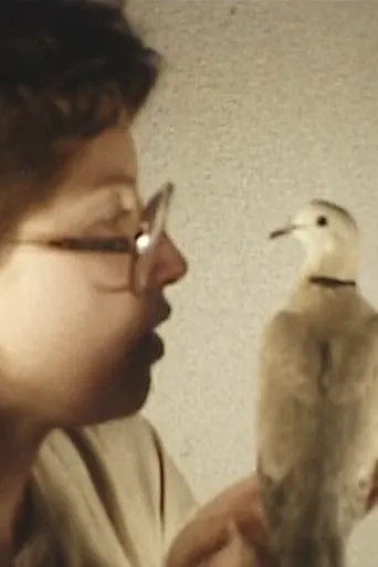 Bird movie poster - Entertainment content