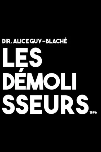 Les démolisseurs movie poster - Entertainment content